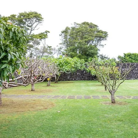 Quinta Da Paz Estudio 6 Appartement